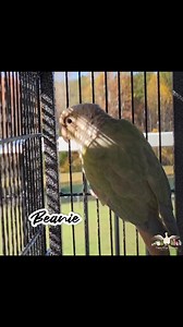 108 reactions · 8 comments | Keeping a cage clean is a crucial part...