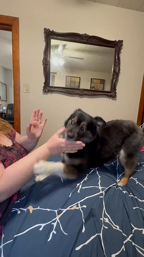 2.6K views · 219 reactions | Ruby and mom wrestle match. | Ruby's Adventures | Facebook