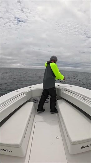 Early Season Striped Bass Fishing with Reel Deal #capecod #fishing