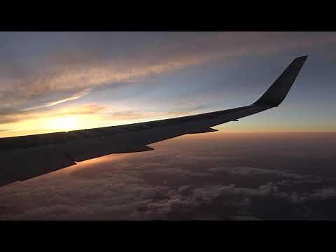 JAL「空たび 星空フライト」の機内の様子