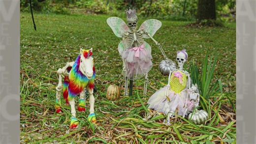 Boo at the zoo: a spooktacular night of fun at the New Zoo & Adventure Park