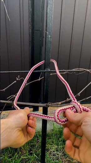 Taut Line Hitch Knot Adjustable Camping Knot for Tents & Tarps #camping #knot #outdoorskills