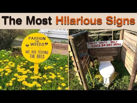 The Most Hilarious Signs That Make You Wonder Who Approved Them 😂 || Sign Hub