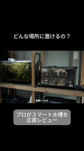続きはYouTubeへ → 「hatena ビオリウム」で検索！ #biorium #ビオリウム #スマート水槽 #水槽 #正直レビュー #水槽のある暮らし