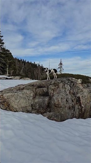 Lake Tahoe Tourism vs. Nature: Can We Have Both? #tahoe #laketahoe #nature #tourism #hiking