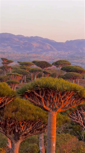 This look’s like an alien planet👽