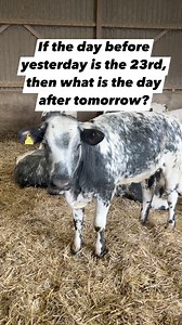 110K views · 158 reactions | If the day before yesterday is the 23rd, then what is the day after tomorrow? #riddle #quiz #viral #reels | Rob And Elizabeth | Facebook