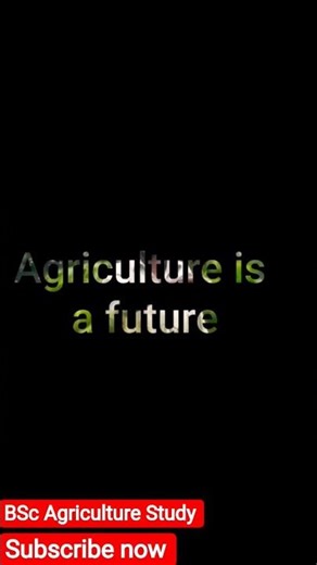 BSc Agriculture Student Life. #agriculturecourse #agrifuture #farming #agrolife #agriculturedegree .