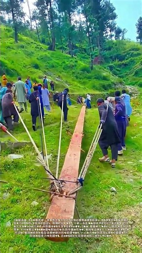 巨木を運ぶ：幾筋もの綱が結ぶ原始的な共進