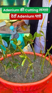 84K views · 893 reactions | In today’s reel, learn the easiest & most...