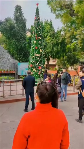 💖Queen of hearts💖 on Instagram: "Yeh Kali Jab Talak Phool Banke Khile🌷🌷🌷🌷 . . . . . . . . Movie:- Aaye Din Bahaar Ke (1966) Starcast:- Asha Parekh, Dharmendra, Balraj Sahni Song:- Yeh Kali Jab Talak Phool Banke Khile Singer(s):- Lata Mangeshkar, Mahendra Kapoor Lyricist:- Anand Bakshi Music Director:- Laxmikant - Pyarelal"