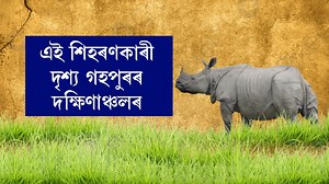 1.5K views · 11 reactions |  এই শিহৰণকাৰী দৃশ্য, এফালৰ পৰা মানুহক আক্ৰমণ গঁড়ৰ  গঁড়ৰ আক্ৰমণত আহত অঞ্চলটোৰ বহু পশুধন  জনাঞ্চলত প্ৰৱেশ কৰি চলাব পাৰে আক্ৰমণ #Da_News_Plus #Gohpur #Rhino | DA News Plus | Facebook