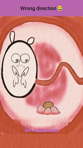 1.5M views · 3.7K reactions | Wrong direction #funny #reels #trending #viral #fyp #fbreels #viralreels #memes #animation | SP—Animation | Facebook