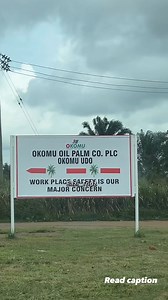 Welcome to Okomu Oil Palm Company, one of the leading agricultural businesses in Nigeria, primarily focused on oil palm cultivation and production. Located in Edo State, the company was established in 1976 as a government pilot project to boost the nation’s agricultural output. Here are some key points about Okomu Oil Palm Company: 1. Operations and Products: The company specializes in the cultivation of oil palm and rubber trees. It processes fresh fruit bunches (FFB) into crude palm oil (CPO) 