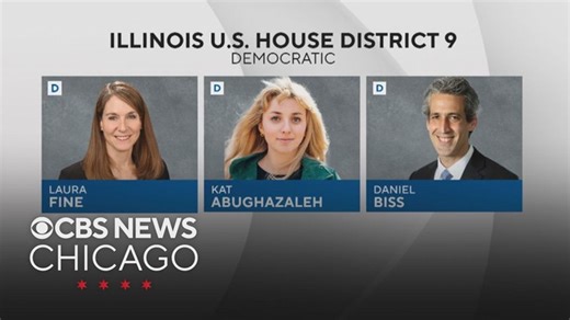 Crowded field of Democrats face off in primary election for retiring U.S. Rep. Jan Schakowsky's seat | Haystack News