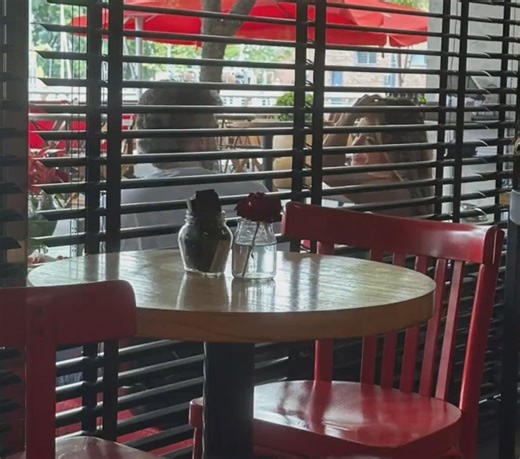 Se filtraron apasionadas fotos de Momi Giardina con su nuevo novio