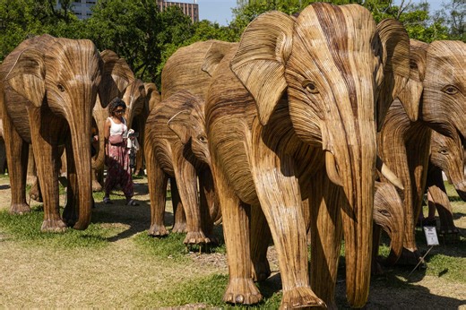 Several Great Elephant Migration elephants staying in Houston. What to know.