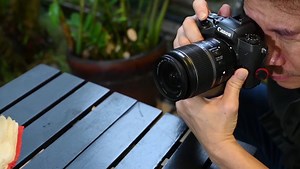 A Beginner's Guide to Autofocus