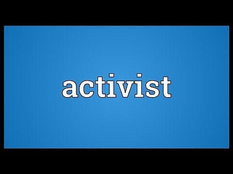 Activist Meaning