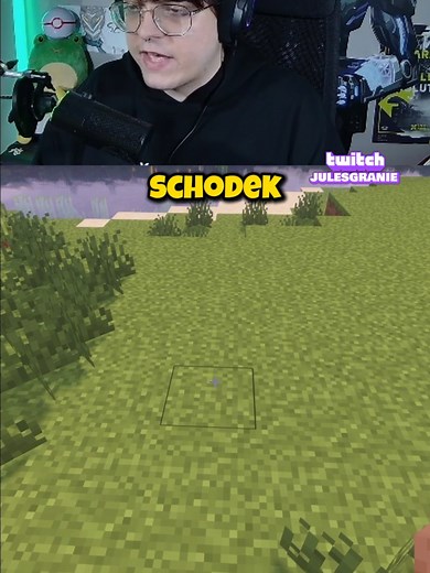 Jak Zbudować Posąg Żaby w Minecraft?