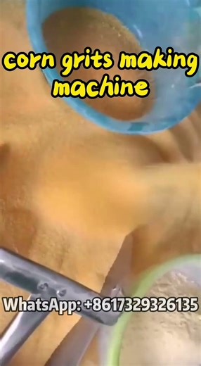 Automatic Corn Grits Machine for Sale | High Efficiency Milling #corn #maize #farming #agriculture