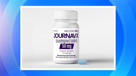 FDA approves 1st new type of pain medication in decades