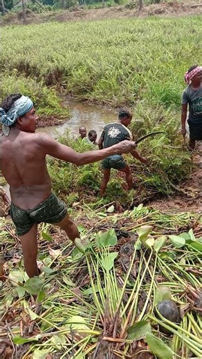 Chandan ଭାଇ ପୋଖରୀ ଭିତରେ ସଫା କରୁଥିଲା ଦଳ put on a block October 30, 2021