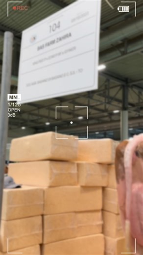 Inseme St Genetics on Instagram: "BAS FARM ZAHIRA KING RED P x STAR P RF x GYWER"