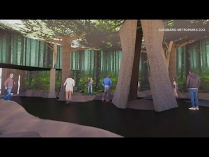New Primate Forest at Cleveland Metroparks Zoo reaches construction milestone