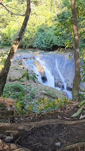 Nature Trippin' Jovellar Underground River, Waterfalls, Caves & Rainforest #nature #river #waterfall #naturetrip | Oliver Collins