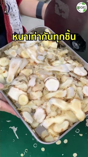 Learn how to quickly chop galangal and cabbage by watching this video.