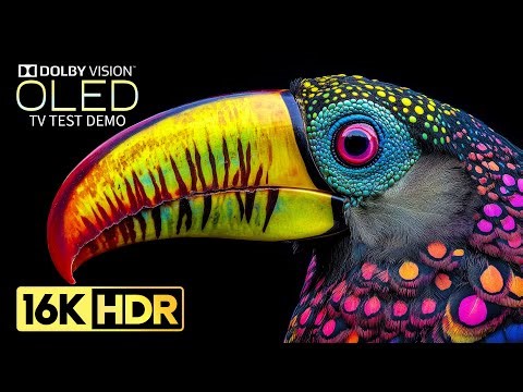 Most Beautiful 16K HDR Video ULTRA HD 240fps | Dolby Vision (8K/4K TV)