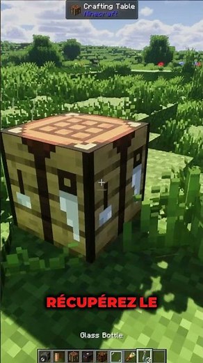 Un Appareil Photo sur Minecraft