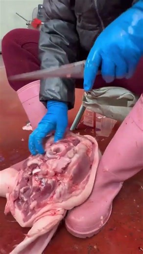 Perfect Pig Tongue Cutting Skills