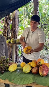 Videos en #yachana cultivando #cacao #unlugarparaaprender #campo | Yachana Foundation
