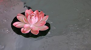 Spa Chemistry 101: What to do on Initial Start-up