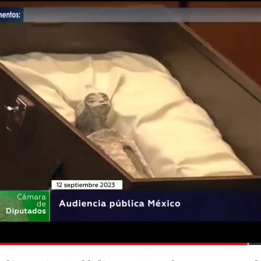 Shocking Revelation: Alien Bodies Revealed by Mexican Government