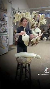Modifying a bobcat form