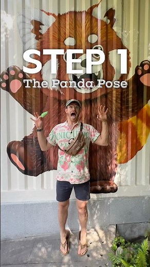 Steps to See Red Pandas in China 🐼 #RedPanda #China #TravelChina
