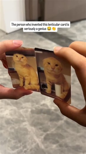 Miwos Magic on Instagram: "The person who invented this lenticular card is seriously a genius 😂👏 One card… multiple expressions… and somehow it feels ALIVE 😳🐱 You tilt it, it changes. You bend it, it reacts. I’ve been playing with it way longer than I should 💀 Perfect for cat lovers, desk toys, or anyone who loves weird-but-cool stuff ✨"