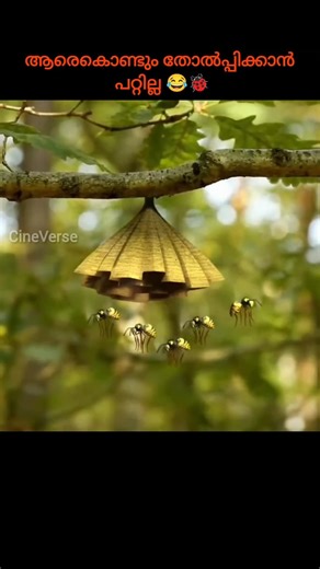 ഓട്ടോർഷ പണി പറ്റിച്ചു 🫩🐞 #shorts #short #shortvideo #viral #reels #shortsfeed #youtubeshorts