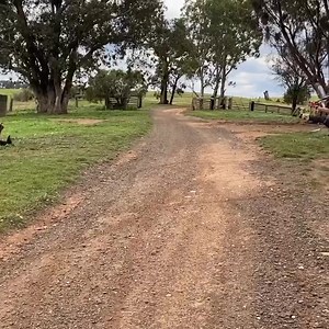 580K views · 1.6K reactions | Back to Trials Basics shoutout to Mad Mex I am enjoying honing my skills making sure I am fit enough to mentor the up and coming riders on the Fresh Fuel for Life program  . #trials #madmex #FFFL #freshfuelforlife | TimColemanX.com / Off-Road clinics & Stunt Shows | Facebook