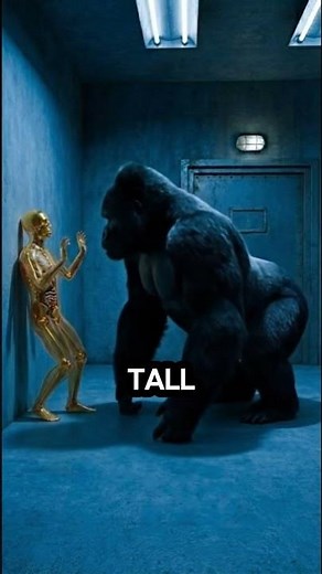 How Long Could You Survive With a Silverback Gorilla? 🦍💀