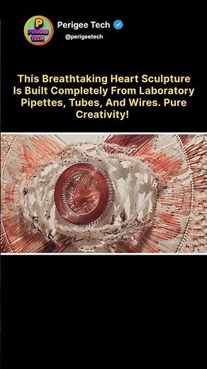 This Human Heart Is Made From Lab Equipment 😳❤️