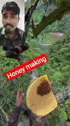 Honey Making 😱😂🤣 #afvfam #funny #comedy #lol