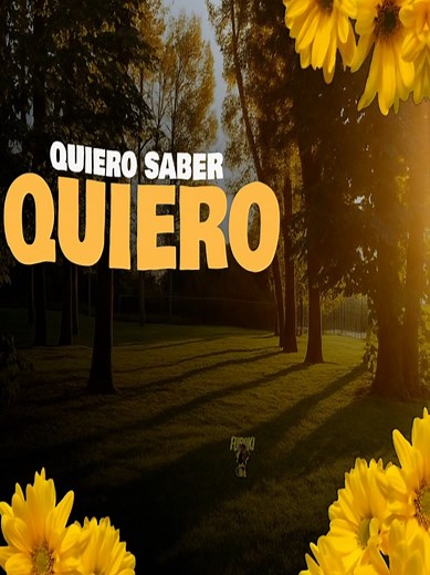 Quiero saber qué se siente decirte que me gustas — letra