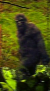 Bigfoot Sightings in Maine: Shocking Footprint Discovery #bigfoot #sasquatch | Most Amazing Top 10