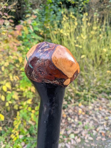 Massive Irish Blackthorn Walking Stick – Huge Root-ball Head With Honeysuckle Twist – Museum-quality Display Piece 38  Inches, 1.35 Kg - Etsy UK