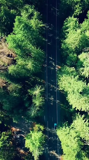 Follow @alphamotivation28 for more content. DM for credit or removal (no copyright intended). All rights reserved to original creator (s). #motivational #*motivation #success #entrepreneur #motivationalquotes #inspiration #entrepreneurship #business #successful #entrepreneurlife #love #hustle #quotes #entrepreneurs #startup #inspirational #life #inspirationalquotes #businessowner #money #lifestyle #inspire #businessman #quoteoftheday #fitness #millionaire #goals #grindtok