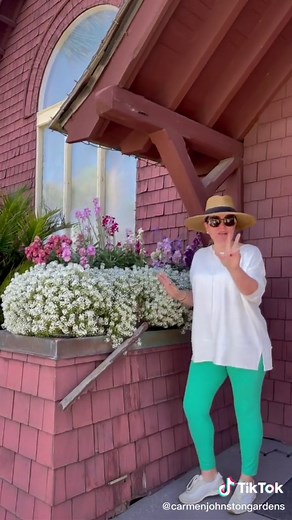 Full Sun Planter Box Ideas with Window Box Planting Combinations